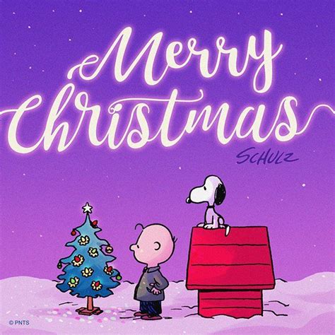 담아감 Merry Christmas Charlie Brown Peanuts Christmas Charlie Brown And