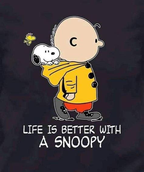 Peanuts Charlie Brown Snoopy Snoopy Love Snoopy And Woodstock