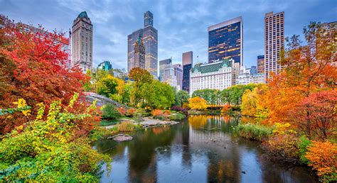 Central park is new york city's back yard and is so popular that over 40 million people visit it annually. L'appartamento più costoso d'America? A New York, 220 ...