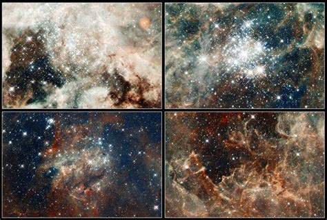 Amazing Hubble Photo Reveals Tarantula Nebulas Star Filled Web Live