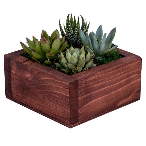 Read reviews and choose a room with planet of hotels. DecoBlooms Living Wall Succulent Garden-DB6812 - The Home ...