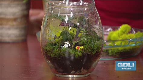 Low-maintenance + whimsical: Terrariums are the perfect ...