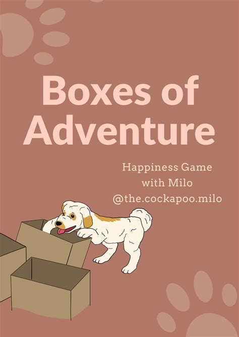 Boxes Of Adventure Confidence Games For Dogs Bounce And Bella