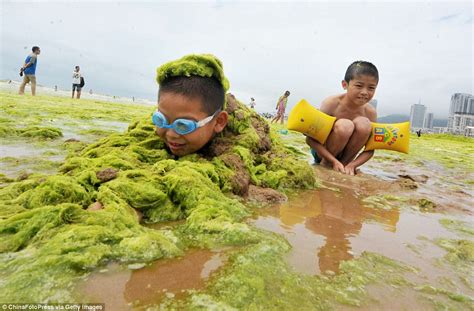 Tourists Frolic In Seaweed That Has Covered Beaches In Eastern China