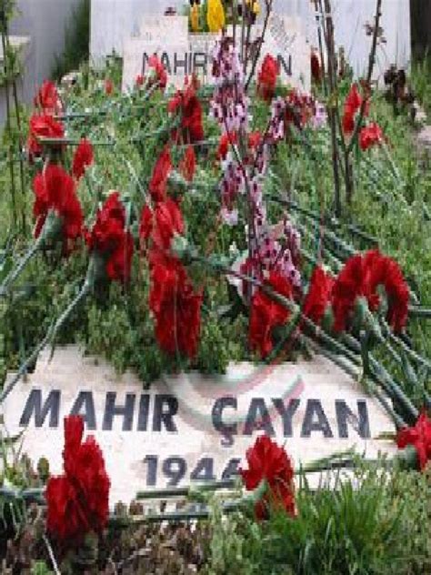 15 mart 1946 tarihinde samsun'da doğmuştur. Mahir CAYAN, OLUMUNUN 47. YILINDA SAYGIYLA ANIYORUZ…15.03.1946—SAMSUN — 30.03.1972—Kızıldere ...