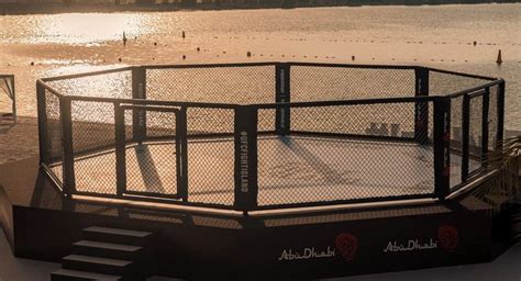 The year 2021 will be the 28th year in the history of the ultimate fighting championship (ufc), a mixed martial arts promotion based in the united states. UFC arranca el 2021 en Fight Island de Abu Dhabi | El Rocktagono