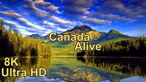 Alive Canada Discovering The Beauty Of Canadas Natural Wonders 8k