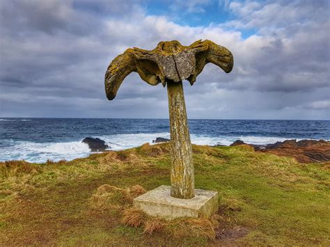 The Story Of The Birsay Whalebone