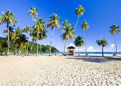 Trinidad And Tobago Travel Guide Discover The Best Time To Go Places