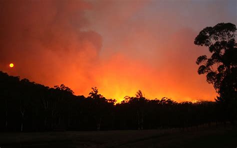 Bushfires In Victoria Australia Photos The Big Picture