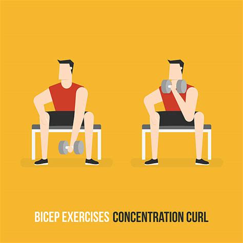 20 Standing Bicep Curl Stock Illustrations Royalty Free Vector