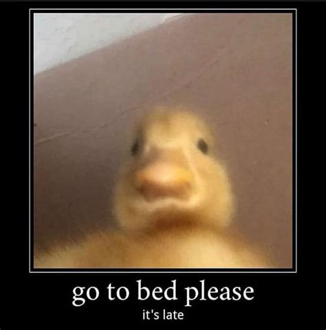 You Need Sleep Go To Bed Gn Boys Say It Back Rmemes