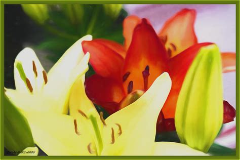 Painted Lilies Mixed Media By Debra Lynch Fine Art America