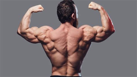 The 7 Best Back Exercises For Strength And Muscle Gain