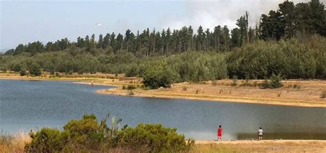 El fuego consume hasta ahora 30 hectáreas de pastizal, matorral y pino. Lago Peñuelas podría quedar seco en marzo por falta de ...