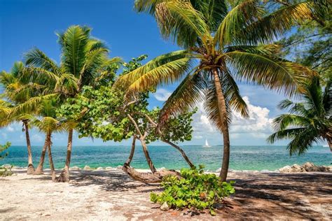 By anne in blog tag tips for a vacation. Key West | Beach vacation spots, Key west vacations, Florida keys