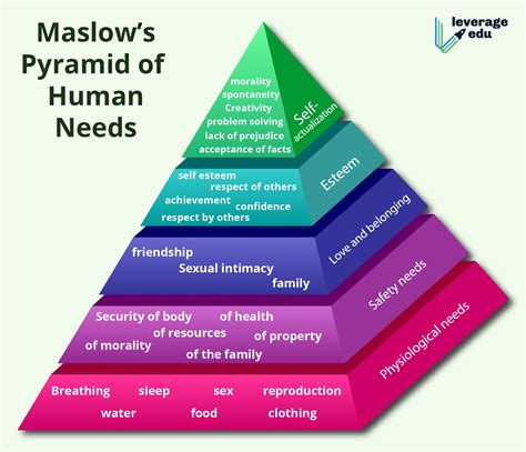 Maslows Hierarchy Of Needs Leverage Edu