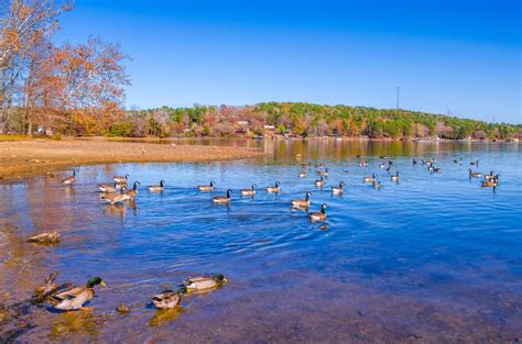 Whether you roll in with your rv, pitch a tent, or opt for a cabin, koa got you covered. 15 Best Things to Do in Arkadelphia (Arkansas) - The Crazy ...