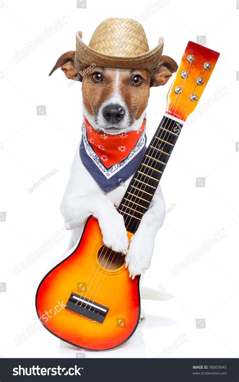 Country Dog Guitar Cowboy Hat Stock Photo 98003045 Shutterstock