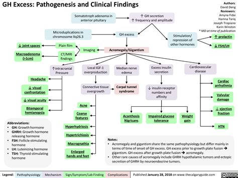 Growth Hormone Excess Pathogenesis And Clinical Findings Grepmed