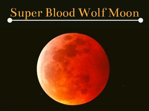 Ppt Super Blood Wolf Moon 2019 Powerpoint Presentation Free Download