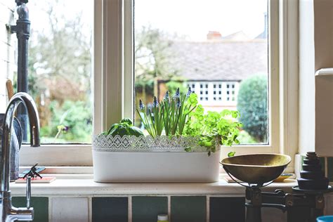 I've been able to keep the occasional house plant from dying. How to properly start a herb garden indoors or outdoors