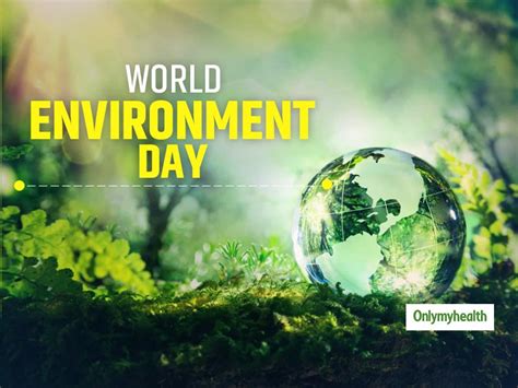 World Environment Day In 20232024 When Where Why How