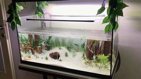 How To Cool Down An Aquarium Without A Chiller