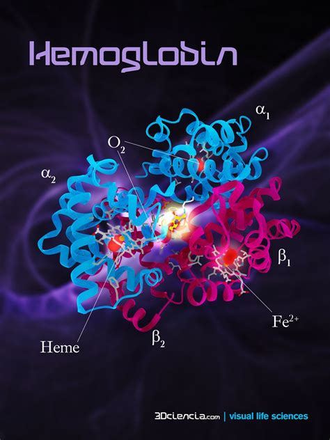 Glycated Hemoglobin Oxygen Bound Haemoglobin Fructose Plasma Glucose