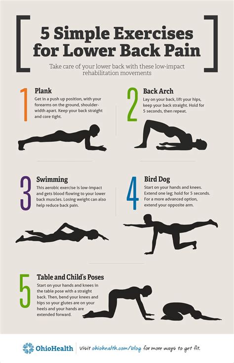 What To Strengthen For Lower Back Pain A Comprehensive Guide Cardio Workout Exercises
