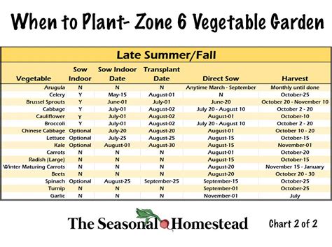 Printable Zone 6 Planting Schedule