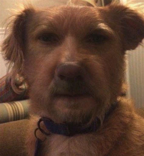 People Are Using The Facefusion App To Turn Themselves Into Creepy