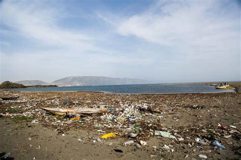 Tons of Plastic Waste Removed from Albania's Beaches and 