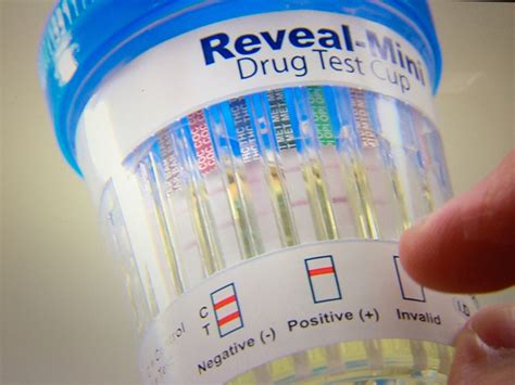 The only shampoo that will help you pass any hair drug test successfully. Do Drug Tests Actually Work?