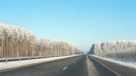 Driving On The Highway On A Sunny Winter Day Where The Trees In Frost