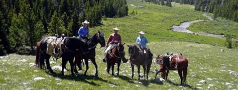 Cabins for sale in the bighorn mountains. Lodges of the Bighorns, Lodging, Cabins, Skiing and ...