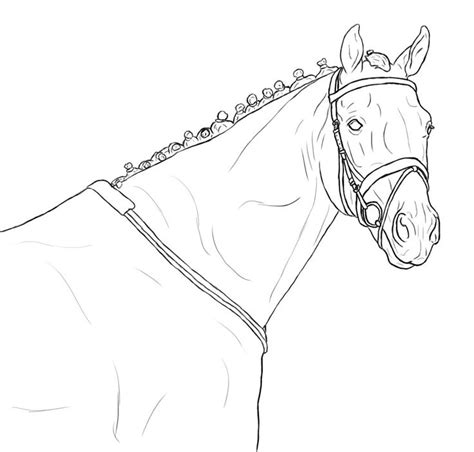 Horse Head Coloring Pages To Print Sketch Coloring Page