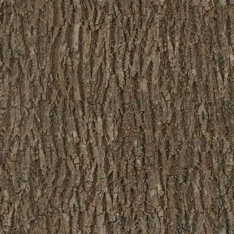 Hd Wallpaper Bark Wood Tree Seamless Texture Albedo Base Color