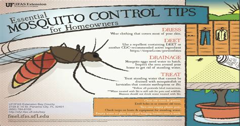 Essential Mosquito Control Tips Ufifas Extension Wakulla County