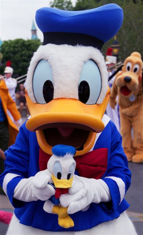 Donald Duck Disneyland