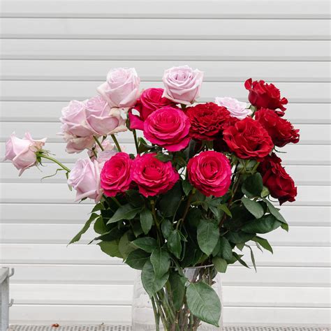 I always order from ecuador direct roses. Beste Selektion der besten Rosen aus Ecuador - Vahldiek AG