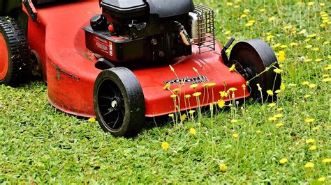 Large lawns re usually priced differently than small home lawns. Best Lawn Mowers For ½ Acre Lot In 2020 - Reviews & Buyers ...