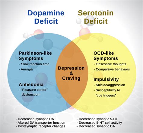Serotonin And Dopamine Relationship