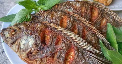 Resep Ikan Mujair Goreng oleh Nia Syifa - Cookpad