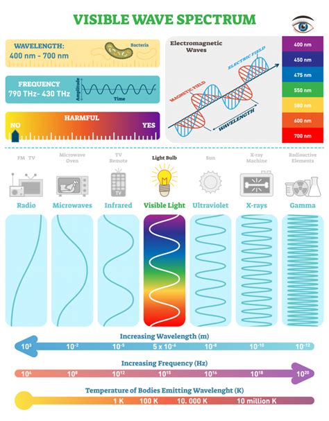 The Visible Spectrum Overview With Colors Listed In Order Of