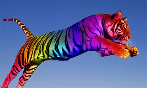 Rainbow Tiger By Ridinginlongsocks On Deviantart Cat Spirit Tiger
