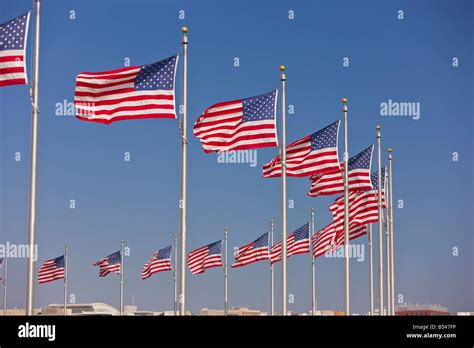 Washington Dc Usa United States Flags Flying On Flagpoles At The