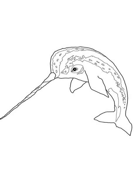 Get this printable narwhal coloring pages 00467. Awesome Narwhal Coloring Page | Narwhal pictures, Coloring ...
