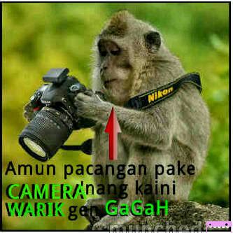 Kumpulan DP BBM Lucu Bahasa Banjar ~ Ian bLink