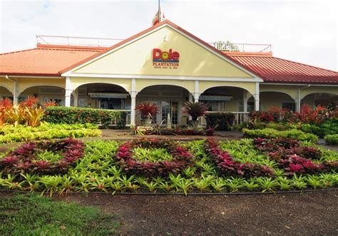 Quirky Attraction: The Dole Plantation in Hawaii - Quirky ...